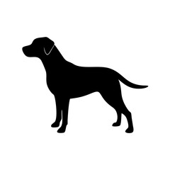 Dog Breed Silhouettes, Personalized Dog Silhouette, Dog Breed SVG,