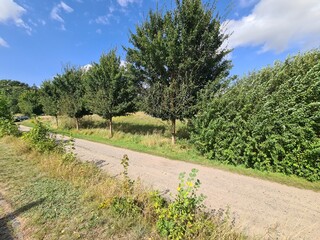 Landweg in Martensdorf, Mecklenburg - Vorpommern
