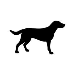Dog Breed Silhouettes, Personalized Dog Silhouette, Dog Breed SVG,