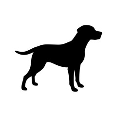 Dog Breed Silhouettes, Personalized Dog Silhouette, Dog Breed SVG,