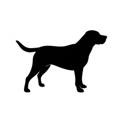 Dog Breed Silhouettes, Personalized Dog Silhouette, Dog Breed SVG,
