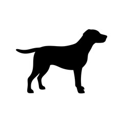 Dog Breed Silhouettes, Personalized Dog Silhouette, Dog Breed SVG,