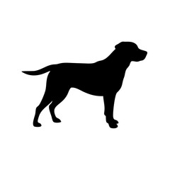 Dog Breed Silhouettes, Personalized Dog Silhouette, Dog Breed SVG,