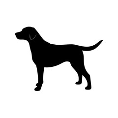 Dog Breed Silhouettes, Personalized Dog Silhouette, Dog Breed SVG,
