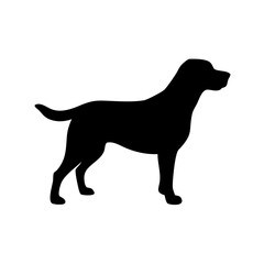 Dog Breed Silhouettes, Personalized Dog Silhouette, Dog Breed SVG,