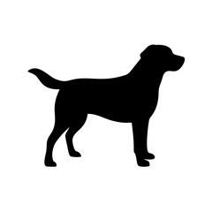 Dog Breed Silhouettes, Personalized Dog Silhouette, Dog Breed SVG,