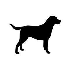 Dog Breed Silhouettes, Personalized Dog Silhouette, Dog Breed SVG,