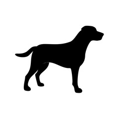Dog Breed Silhouettes, Personalized Dog Silhouette, Dog Breed SVG,