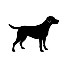 Dog Breed Silhouettes, Personalized Dog Silhouette, Dog Breed SVG,