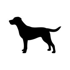 Dog Breed Silhouettes, Personalized Dog Silhouette, Dog Breed SVG,