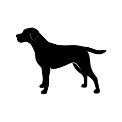 Dog Breed Silhouettes, Personalized Dog Silhouette, Dog Breed SVG,