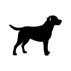 Dog Breed Silhouettes, Personalized Dog Silhouette, Dog Breed SVG,