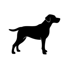 Dog Breed Silhouettes, Personalized Dog Silhouette, Dog Breed SVG,