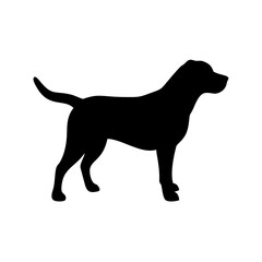 Dog Breed Silhouettes, Personalized Dog Silhouette, Dog Breed SVG,