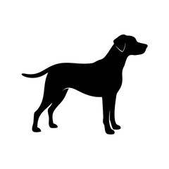 Dog Breed Silhouettes, Personalized Dog Silhouette, Dog Breed SVG,