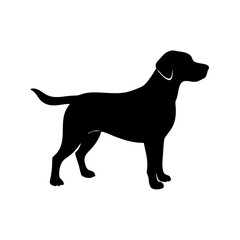 Dog Breed Silhouettes, Personalized Dog Silhouette, Dog Breed SVG,