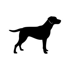 Dog Breed Silhouettes, Personalized Dog Silhouette, Dog Breed SVG,