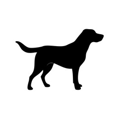Dog Breed Silhouettes, Personalized Dog Silhouette, Dog Breed SVG,