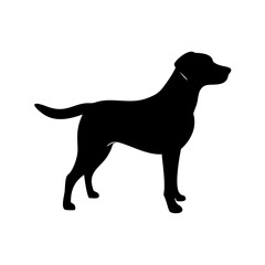 Dog Breed Silhouettes, Personalized Dog Silhouette, Dog Breed SVG,