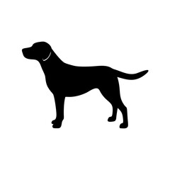 Dog Breed Silhouettes, Personalized Dog Silhouette, Dog Breed SVG,