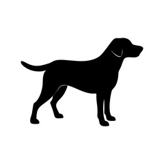 Dog Breed Silhouettes, Personalized Dog Silhouette, Dog Breed SVG,