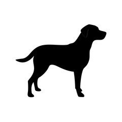 Dog Breed Silhouettes, Personalized Dog Silhouette, Dog Breed SVG,
