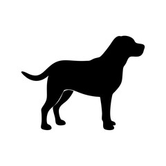 Dog Breed Silhouettes, Personalized Dog Silhouette, Dog Breed SVG,