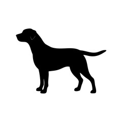 Dog Breed Silhouettes, Personalized Dog Silhouette, Dog Breed SVG,