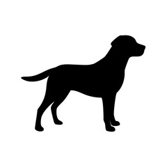 Dog Breed Silhouettes, Personalized Dog Silhouette, Dog Breed SVG,