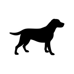 Dog Breed Silhouettes, Personalized Dog Silhouette, Dog Breed SVG,