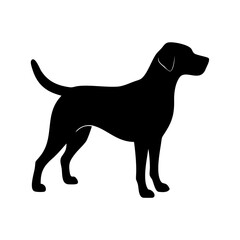 Dog Breed Silhouettes, Personalized Dog Silhouette, Dog Breed SVG,