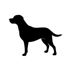 Dog Breed Silhouettes, Personalized Dog Silhouette, Dog Breed SVG,
