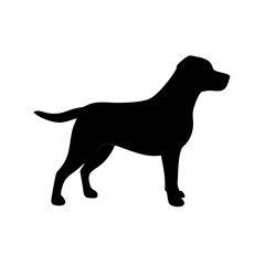 Dog Breed Silhouettes, Personalized Dog Silhouette, Dog Breed SVG,