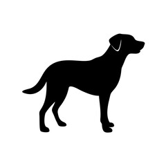 Dog Breed Silhouettes, Personalized Dog Silhouette, Dog Breed SVG,