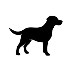 Dog Breed Silhouettes, Personalized Dog Silhouette, Dog Breed SVG,