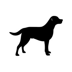 Dog Breed Silhouettes, Personalized Dog Silhouette, Dog Breed SVG,