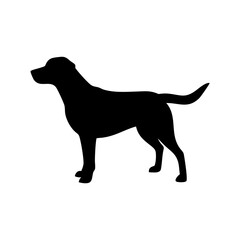 Dog Breed Silhouettes, Personalized Dog Silhouette, Dog Breed SVG,