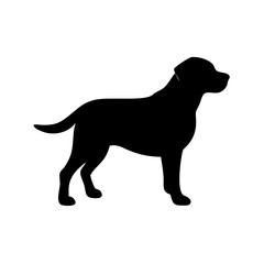 Dog Breed Silhouettes, Personalized Dog Silhouette, Dog Breed SVG,
