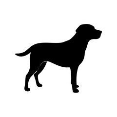 Dog Breed Silhouettes, Personalized Dog Silhouette, Dog Breed SVG,