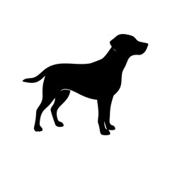 Dog Breed Silhouettes, Personalized Dog Silhouette, Dog Breed SVG,