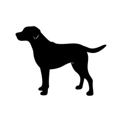 Dog Breed Silhouettes, Personalized Dog Silhouette, Dog Breed SVG,