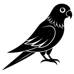 crow on a branch