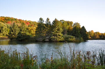 Beautiful autumn landscape with lake