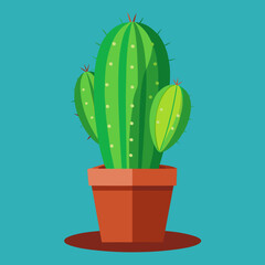 cactus in a pot