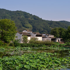 traditional chinese style houses near hills besides a lotus pond