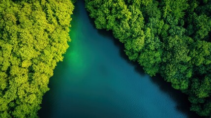 Aerial view of a river surrounded by lush green forests, showing a beautiful natural landscape with vibrant colors.
