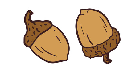 simple and clean illustration of two acorns, featuring warm brown hues. Ideal for autumn-themed designs, nature guides, or educational materials.