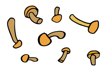 honey mushrooms in a simple, natural doodle style. Perfect for culinary guides, botanical prints, nature-inspired decor,  educational materials.