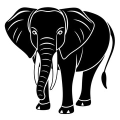 elephant head isolated on white