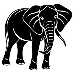 elephant isolated on white background